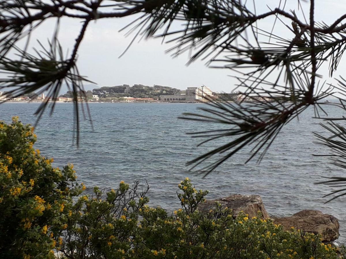 Bandol Nature Et Loisirs: Parking/ Piscine Exterior foto